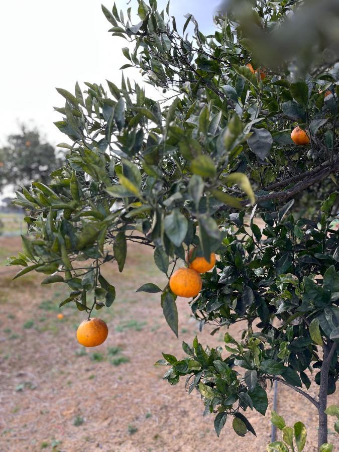 Agua De Verano San Bartolomé de la Torre Zewnętrze zdjęcie